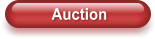 Auction